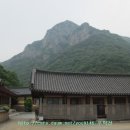 다향각화장실 Daum카페