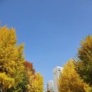 주공휴먼시아아파트 이미지