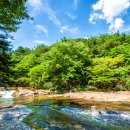 도림사계곡 이미지