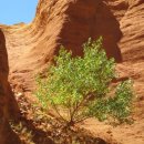 세정한의원 이미지