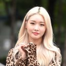 청하의아침