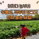 농촌체험코스(북부) | 기장 아이랑 “어쩌다농부네” 깍두기 담그기 농촌체험｜바테뷰 카페 연계 하루 코스 후기