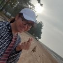 톱머리 리조트 이미지