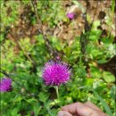 경화농장 이미지