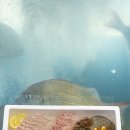 제주돈삼겹본점 | 품질이 남달랐던 제주횟집추천