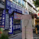 도리순이 이미지