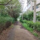 경안천 이미지