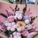 양지2호 이미지