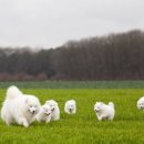 산타스튜디오 이미지