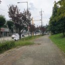 도미노피자(동두천점) 이미지