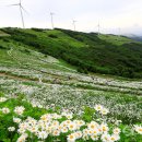 국민힐링 이미지