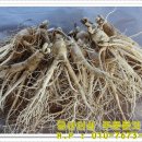 금산 활력의집 이미지