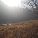 꽃여울강변 이미지