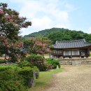 유계영당 | 배롱나무(백일홍)을 찾아 나선 논산나들이(2) - 명재고택/유봉영당