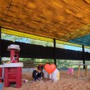 말뚝목장 이미지