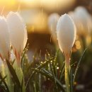 하늘로열린창 이미지