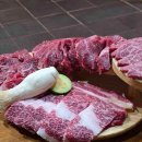 지지네 애견호텔&놀이방 이미지