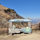 공룡코딱지 | ⛰️영남알프스 울산 간월재~신불산 공룡능선 등산한 날 ⛰️ 백숙 예약없이 가능한곳 추천!