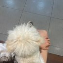 정 동물병원 이미지