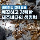 (주)수창