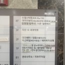 13 | 다산동 애견미용 디스타일 내 돈 내산 후기