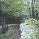 진동산채민박 이미지