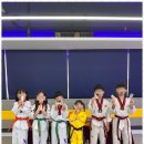 XPL 태권도 이미지