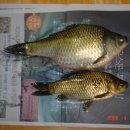 중흥 낚시터 이미지