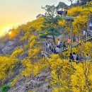 응봉개나리어린이공원 이미지