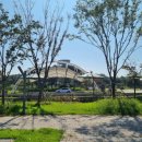 빛가람동 호수공원 이미지