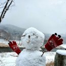 사랑비디오 이미지