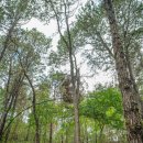 계룡숲작은도서관 이미지