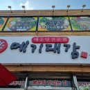 메기대감 이미지