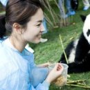 팬더 - 강남구 강남대로156길 13-4 | 팬더