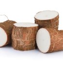 대전펫츠 이미지