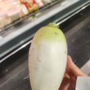 무천도사 이미지
