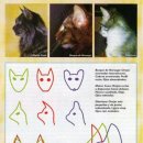 잘난돌스 이미지