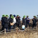 숨어있던 보석 진도 모세의 기적 茅島(모도) 발견(박길림 해설사 글) 이미지