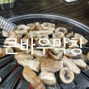 큰바우막창 | 달서구 용산동 큰바우막창 진심 존맛탱!!