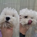 계림고등학교 이미지