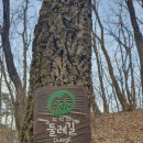 들꽃피는 펜션민박 | 치악산 둘레길 근처 숙소 원주민박 산민박펜션 후기