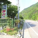 나래민박 이미지