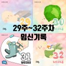 하마운동화세탁(덕이점) | 쌍둥이임신 29주~32주차 기록(경상대병원 산부인과 정기검진(태동검사, 막달검사) / 제왕택일 / 아기들...