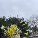 꽃길목