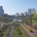 하남-신장-신장9호 이미지