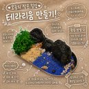 모인플랜트