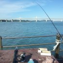 해양펜션 이미지