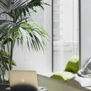 정상행정사 이미지