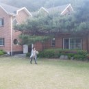 녹색향기 펜션 이미지