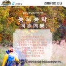 김수정머리나라
